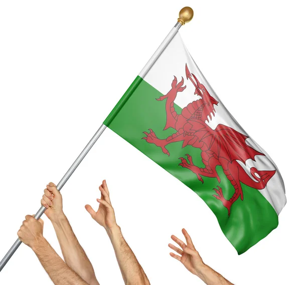 团队的人民手提高威尔士国家国旗，孤立的白色背景上的 3d 渲染 — 图库照片