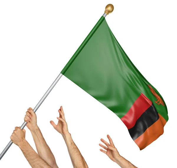 Team av bemannar händer att höja Zambia national flagga, 3d-rendering isolerad på vit bakgrund — Stockfoto