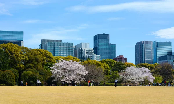 Pary i rodziny zbierają się w parku w Tokio Imperial Palace Gardens wschód do korzystania na zewnątrz — Zdjęcie stockowe