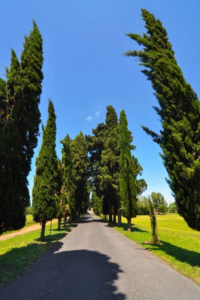Rechte enkele lane weg met Perspectiefpunt tussen rijen van hoge cipressen op het platteland van Italië — Stockfoto