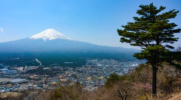 único desenho de linha contínua marco do pagode chureito. belo lugar famoso  em fujiyoshida, japão. conceito