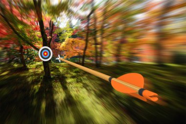 Hassas ve doğru bir okçuluk hedef, parçası Fotoğraf, bölüm 3d render bulanık hareket ile hareket ok