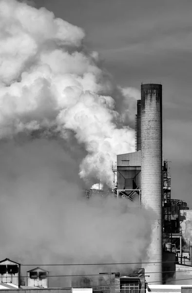 Emissões nocivas de CO2 de uma fábrica de papel que contribui para a poluição por carbono — Fotografia de Stock