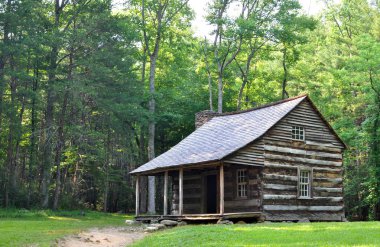 Carter kalkanlar kabin Cades Cove, eve 1880 ' inşa edilmiş tarihi bir günlük