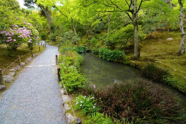 Sendero tranquilo en un hermoso jardín de estanque japonés —  Fotos de Stock