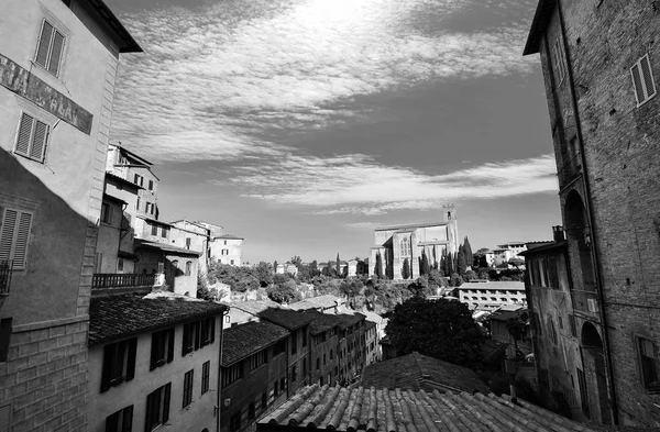 Siena, İtalya geleneksel evlerde Basilica san Domenico içinde belgili tanımlık geçmiş ile siyah ve beyaz kentsel manzara — Stok fotoğraf