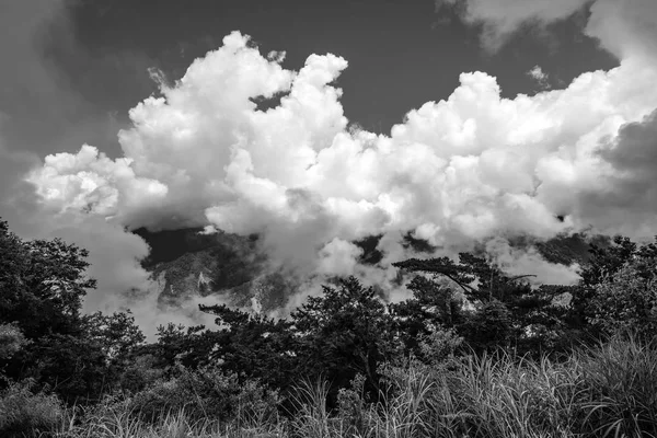 Přikryl oblak hory v Alishan National Forest v Chiayi District, Tchaj-wan — Stock fotografie