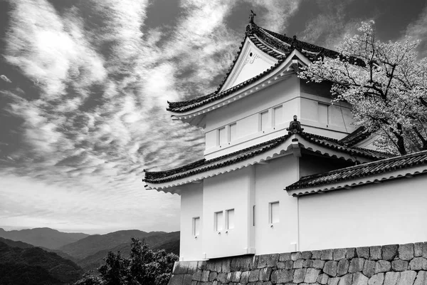 Blanco y negro de la histórica torre de guardia del Castillo de Nijo en Kyoto, Japón —  Fotos de Stock