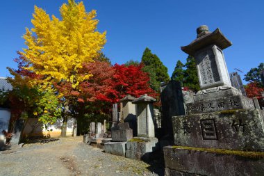 Sarı ginkgos ve kırmızı maples Kyoto aile isimleri ile oyulmuş mezar taşları eski bir mezarlık renk eklemek