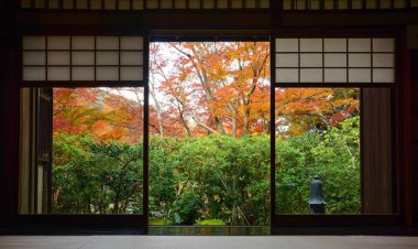 Sonbahar geleneksel Japon çay odasında ahşap çerçeve kapı girişinde durduğumu ve tatami paspaslar