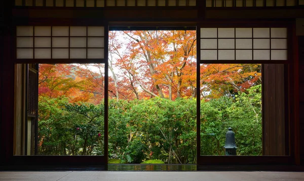 Puerta de marco de madera y tapetes de tatami en la sala de té tradicional japonesa en otoño —  Fotos de Stock