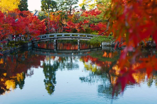 Bron och hösten färgade träden speglar sig i en damm under hösten i Kyoto, Japan — Stockfoto