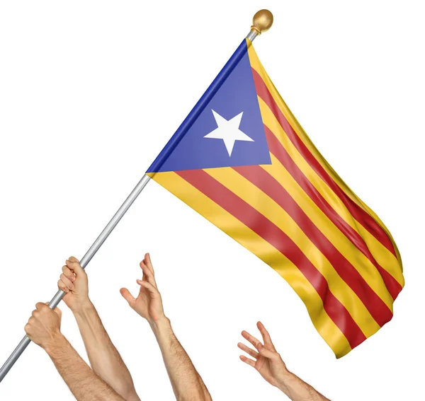 Team von Menschenhänden beim Hissen der katalanischen Unabhängigkeitsfahne, 3D-Darstellung isoliert auf weißem Hintergrund — Stockfoto