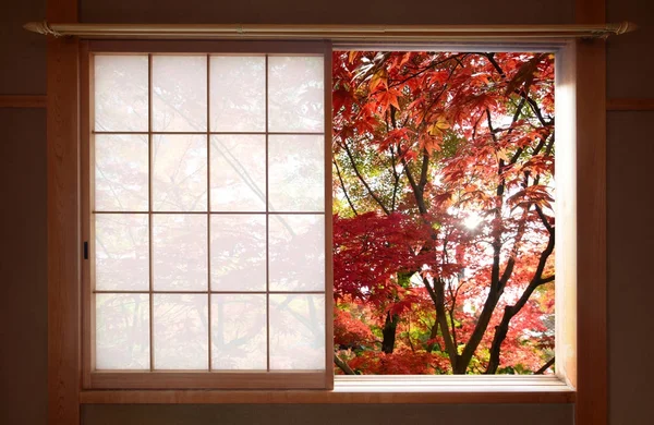 Sol brillando a través de hojas de arce de otoño rojo fuera de una ventana en otoño —  Fotos de Stock