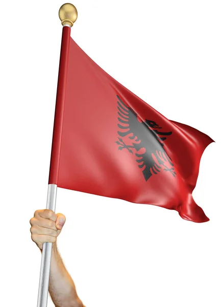 Hand holding the flag of Albania isolated on a white background, 3D rendering