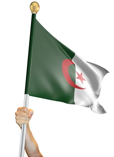 Ręka Trzyma Flaga Algierii Białym Tle Białym Tle Renderowania — Zdjęcie stockowe