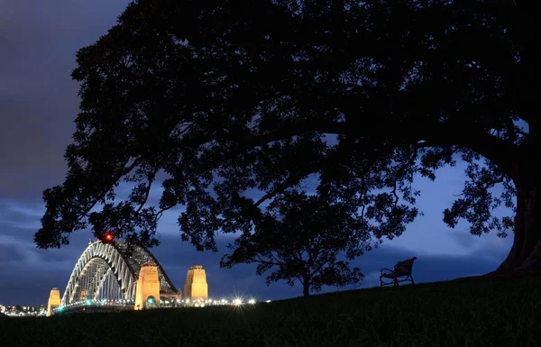 Lone Park Bänk Och Jätte Träd Vid Observatoriet Sydney Med — Stockfoto