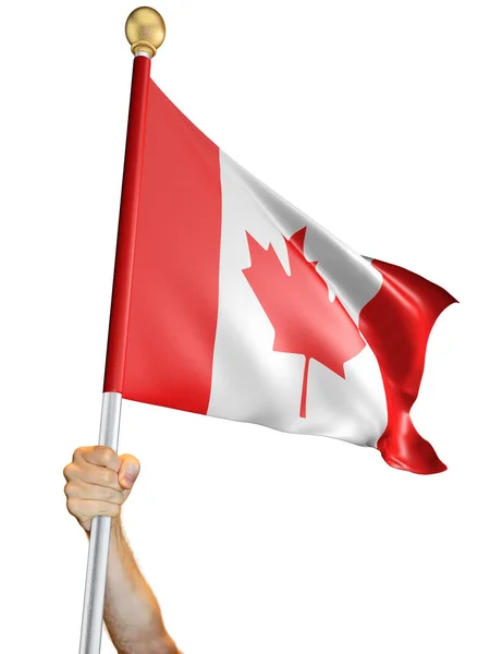 Hand Hält Die Flagge Kanadas Isoliert Auf Weißem Hintergrund Darstellung — Stockfoto