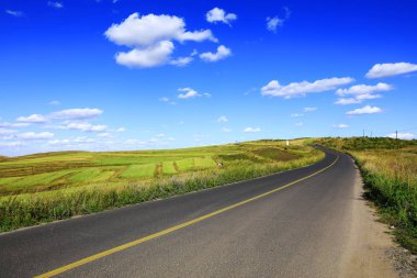 Asfalt yol çayırda.