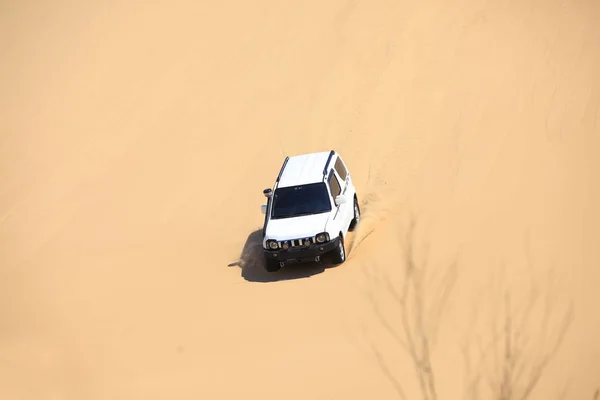 Terränggående fordon i öknen — Stockfoto