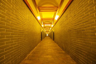  Tahta Varilli Şarap Mahzeni