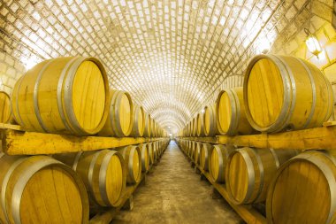  Tahta Varilli Şarap Mahzeni