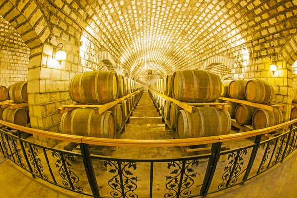 Wine Cellar with Wooden Barrels — Stock Photo, Image