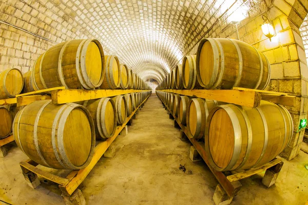 Wine Cellar with Wooden Barrels — Stock Photo, Image