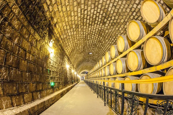 Wine Cellar with Wooden Barrels — Stock Photo, Image