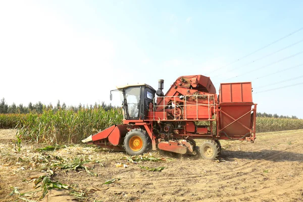 Colheitadeira moderna está colhendo cultivo de milho maduro — Fotografia de Stock