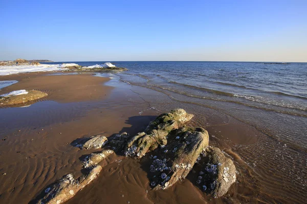 A paisagem à beira-mar é no inverno — Fotografia de Stock