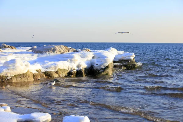 El paisaje costero es en invierno — Foto de Stock