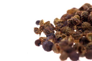 Çin dikenli külleri, beyaz arka plan