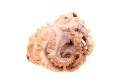 beyaz zemin üzerine ahtapot