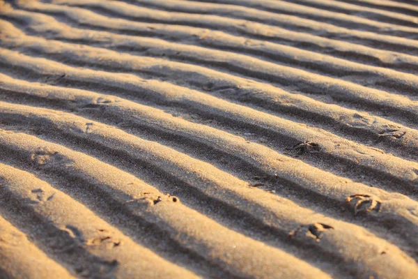 The texture of beach sand — Stock Photo, Image