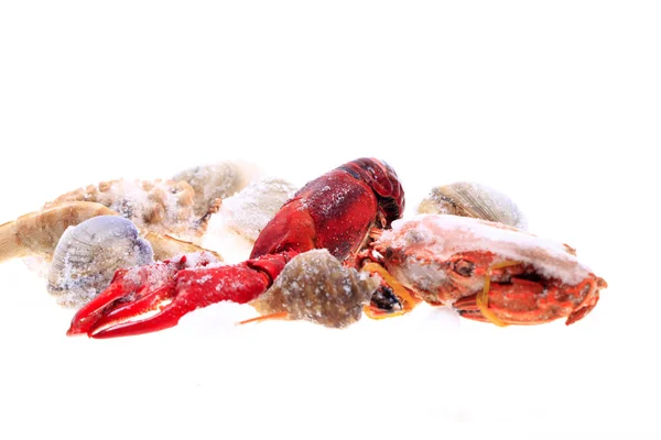 Все виды морепродуктов — стоковое фото