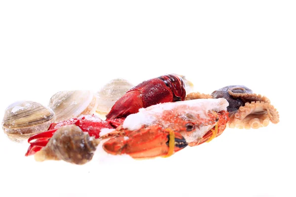 Todos os tipos de frutos do mar — Fotografia de Stock