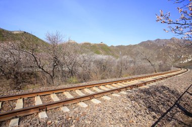 tren yolu