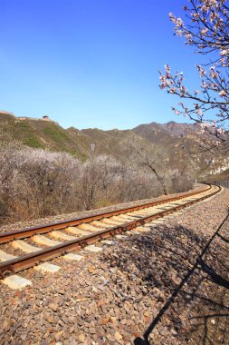 tren yolu
