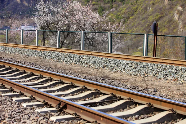 The train tracks — Stock Photo, Image