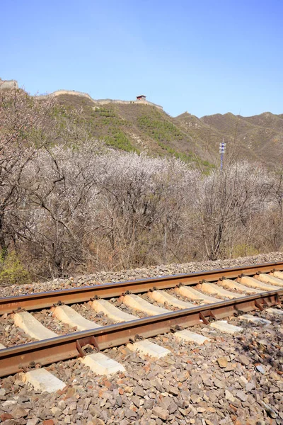 The train tracks — Stock Photo, Image