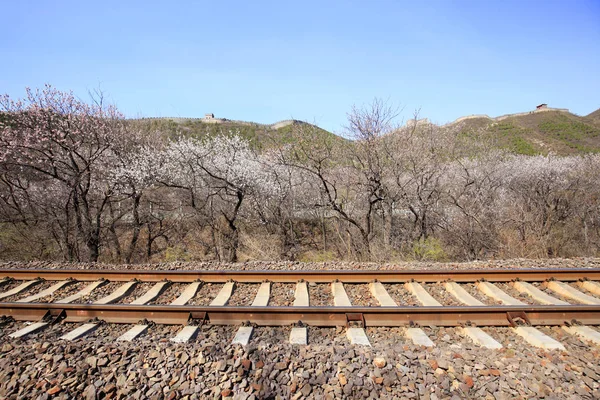 The train tracks — Stock Photo, Image