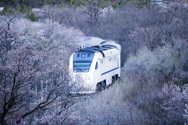 Η αμαξοστοιχία κινείται — Φωτογραφία Αρχείου