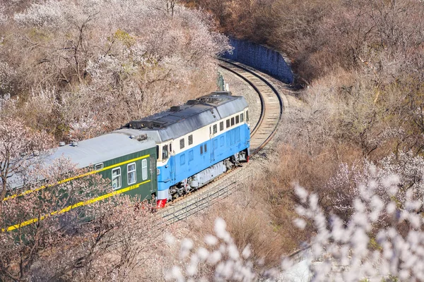 走る列車 — ストック写真