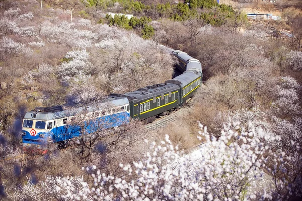 Der Zug fährt — Stockfoto