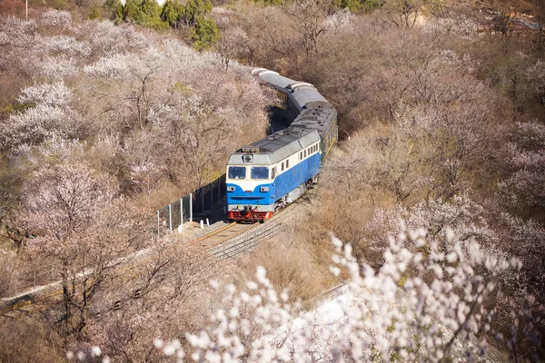 El tren en marcha —  Fotos de Stock