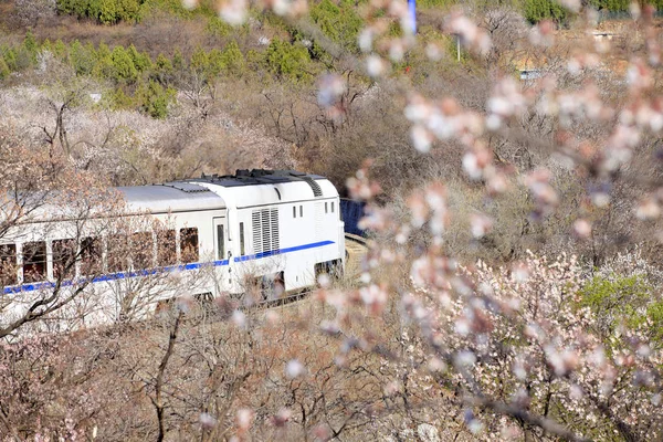 El tren en marcha —  Fotos de Stock