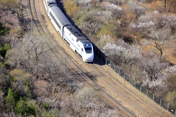 El tren en marcha —  Fotos de Stock