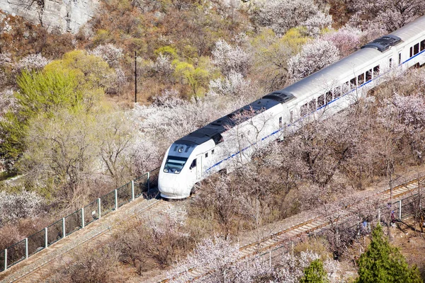 El tren en marcha , —  Fotos de Stock