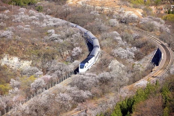 El tren en marcha , —  Fotos de Stock